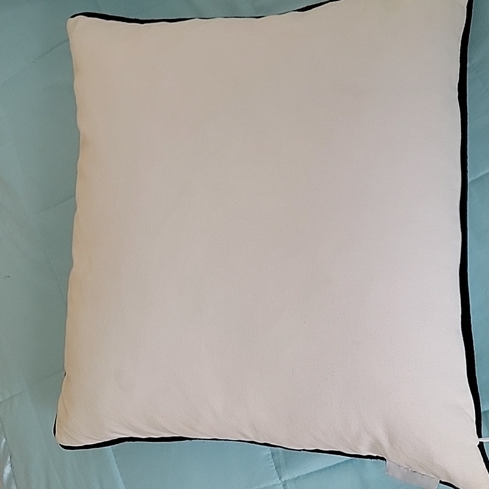 Rae Dunn pillows Gently used - Picture 3 of 8